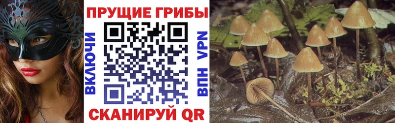 Галлюциногенные грибы GOLDEN TEACHER  Почеп 